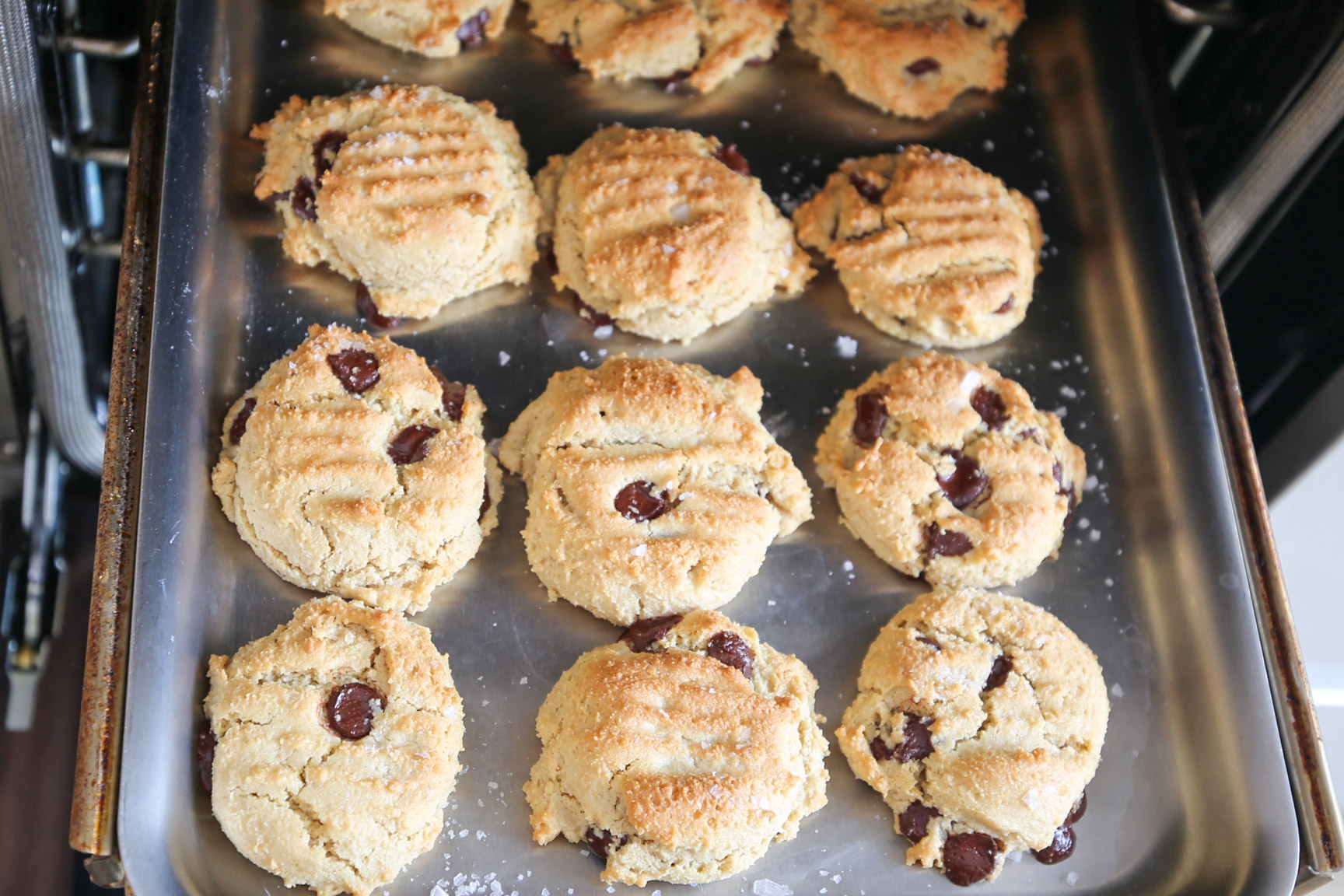 gluten free chocolate chip cookies