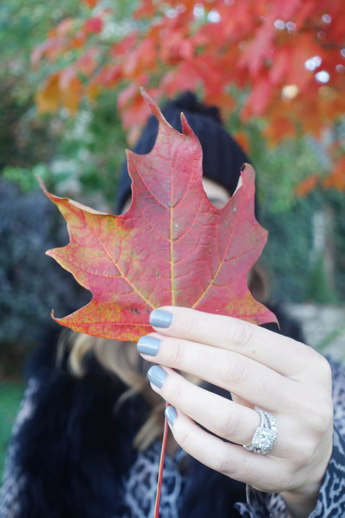 kc_fall_sbk_8