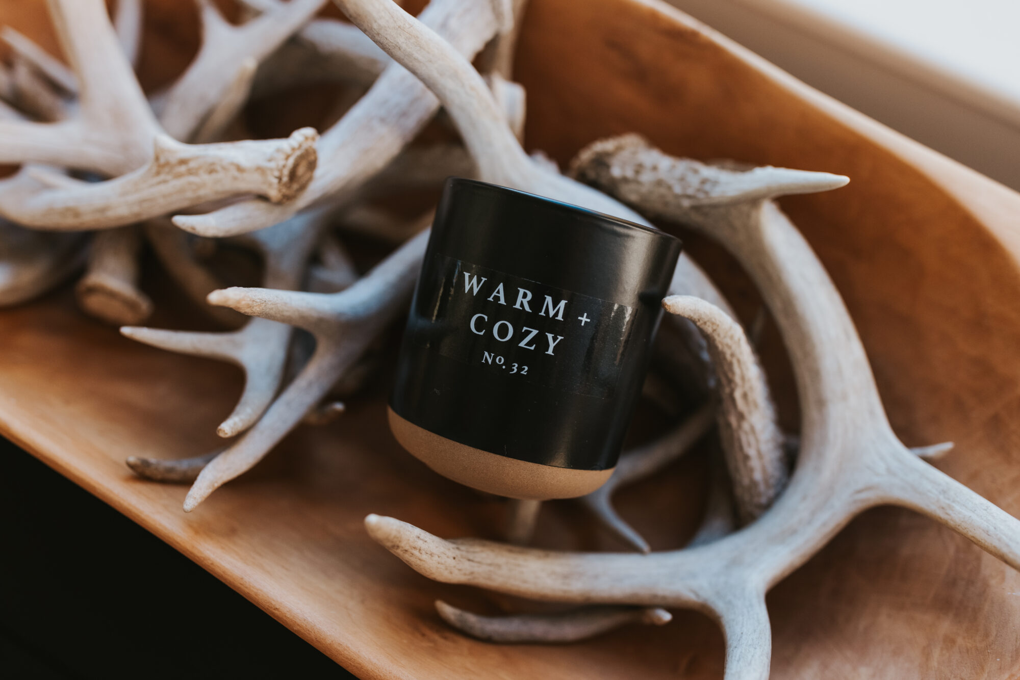 sweet water decor x LowToxHome holiday collection