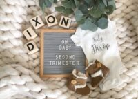 pregnancy second trimester