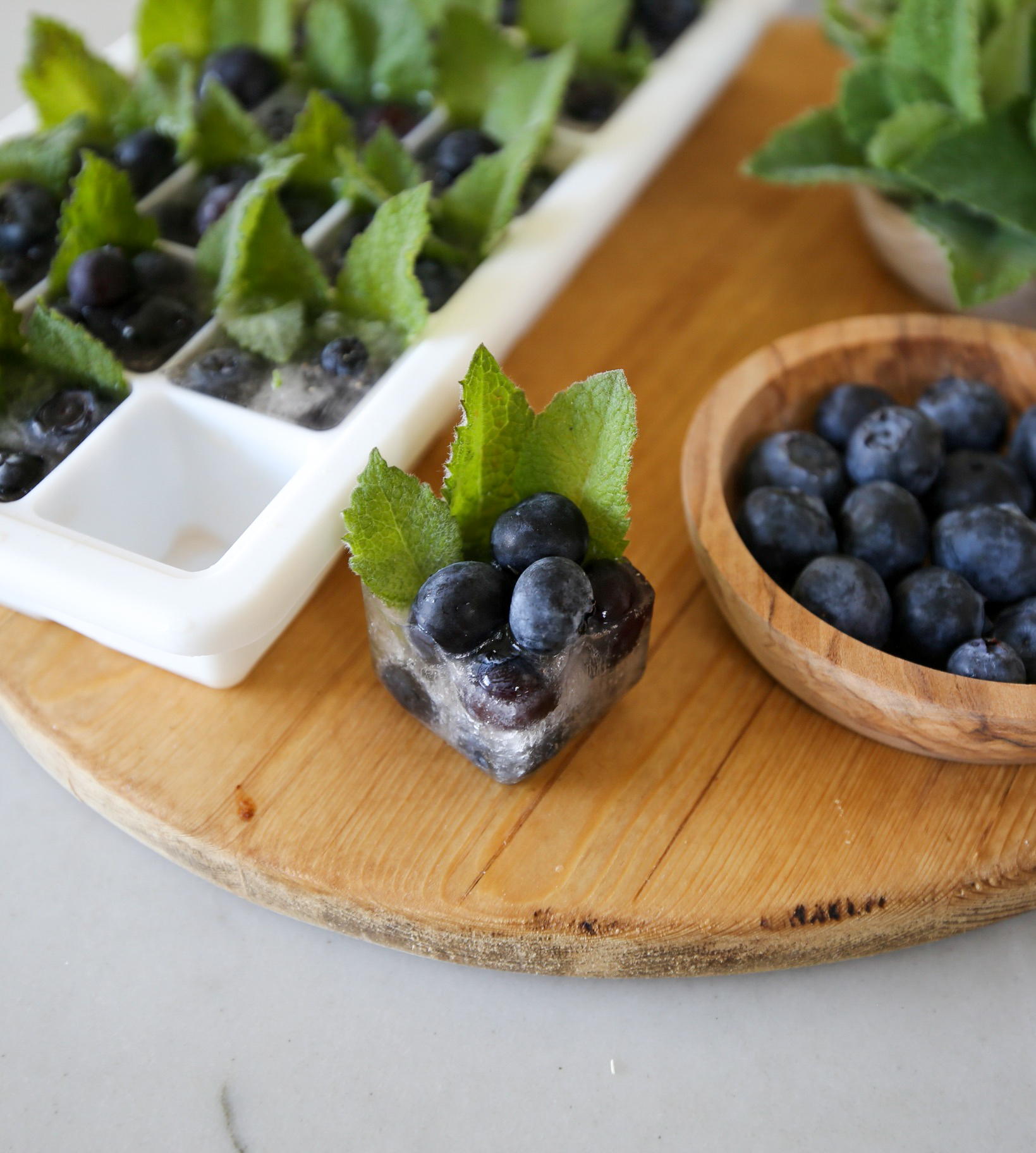 blueberry mint summer ice cubes