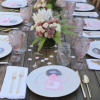 safari chic baby shower