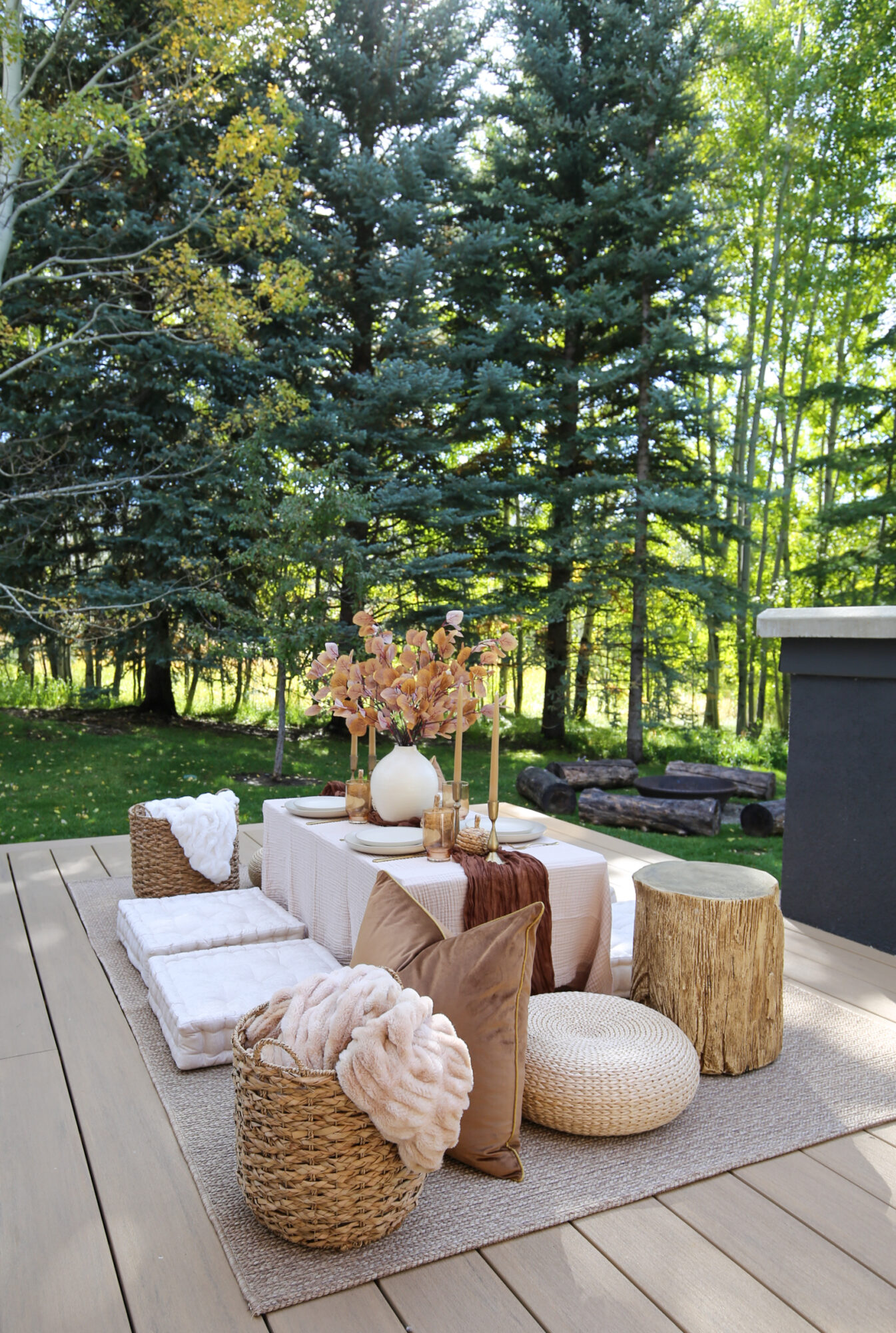 cozy fall picnic 