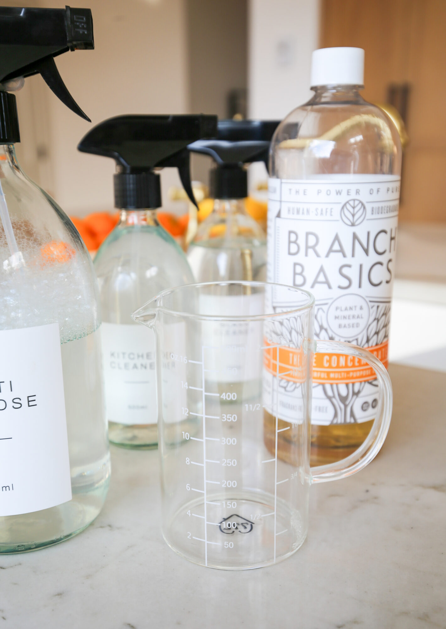 healthy non toxic home