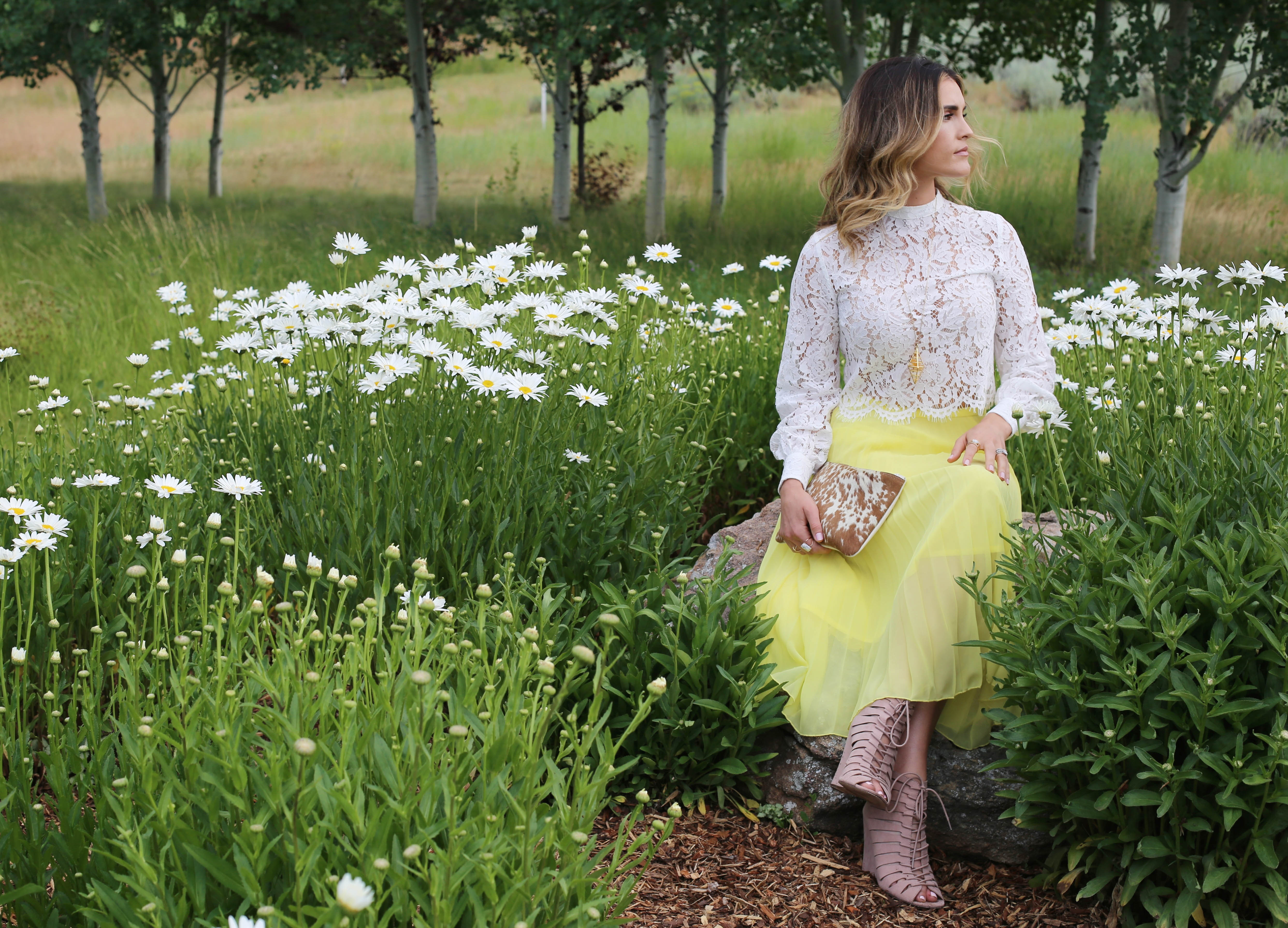 sv_daisies_yellow and lace_sbk
