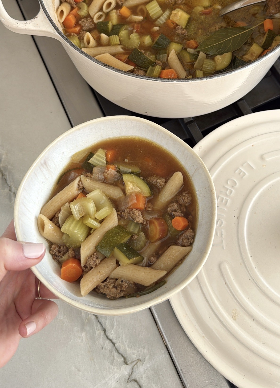 beef and veggie soup