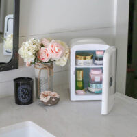 beauty mini fridge