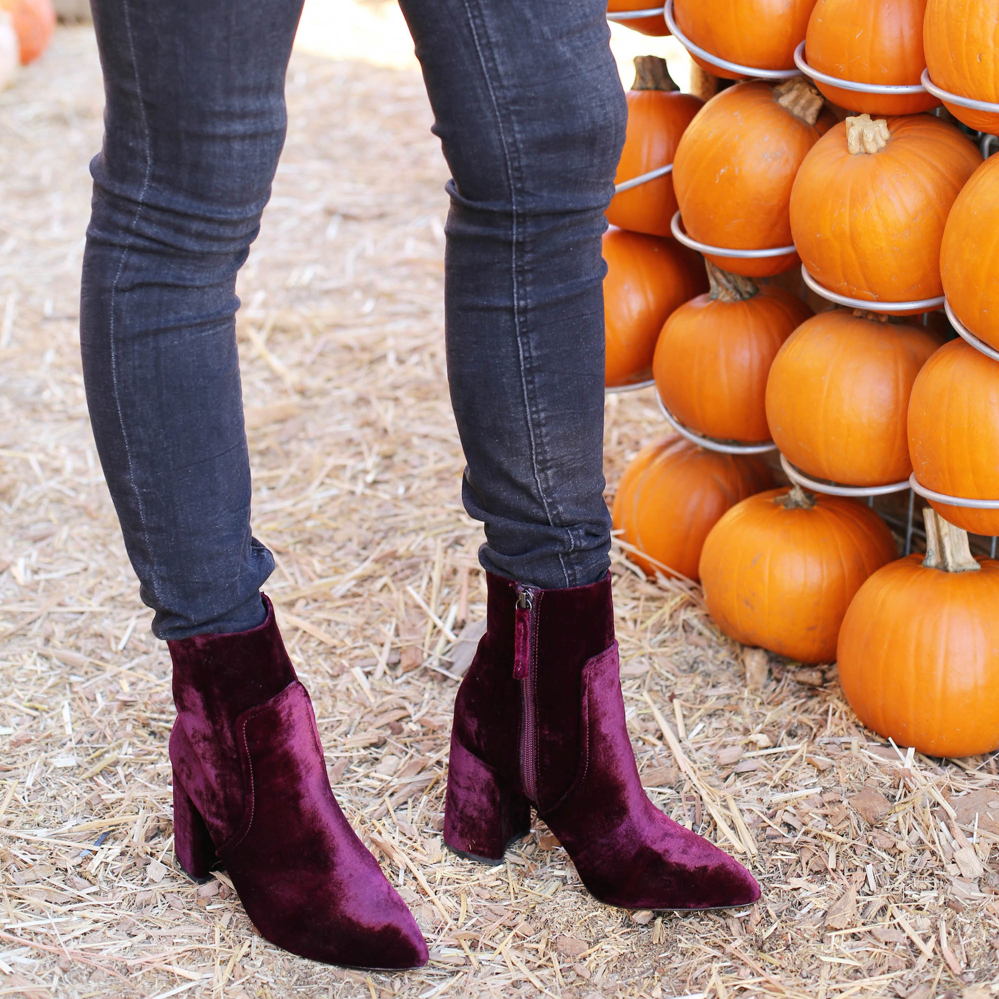 boo ily couture pumpkin patch styled by kasey