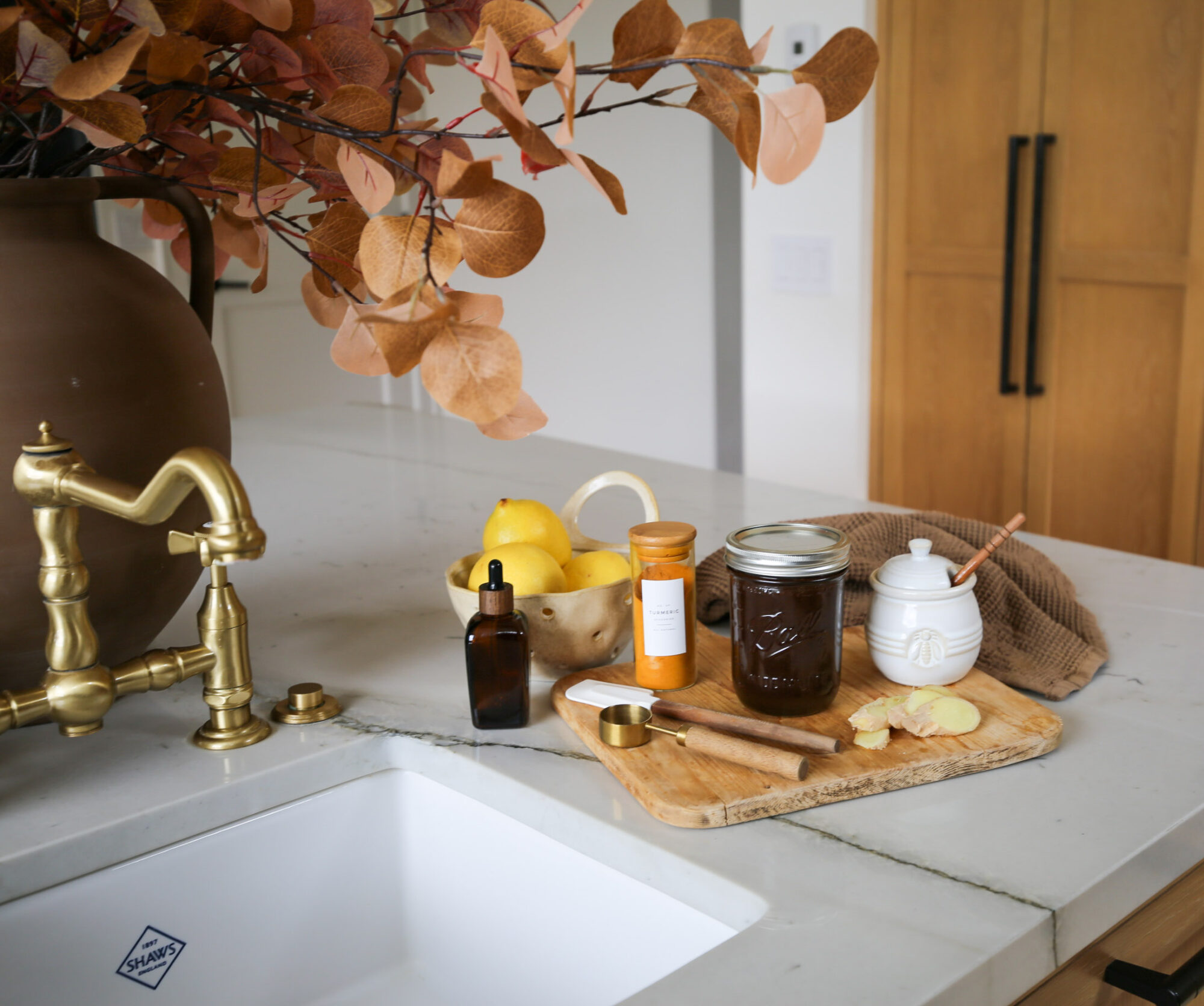 fall immune elixir