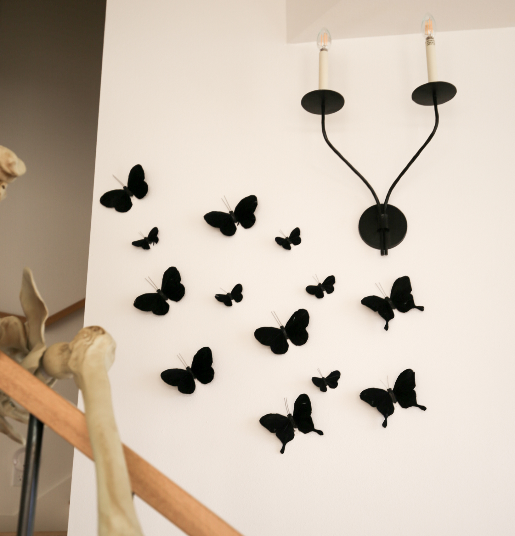 halloween bats and butterflies 
