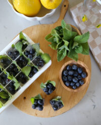 blueberry mint summer ice cubes