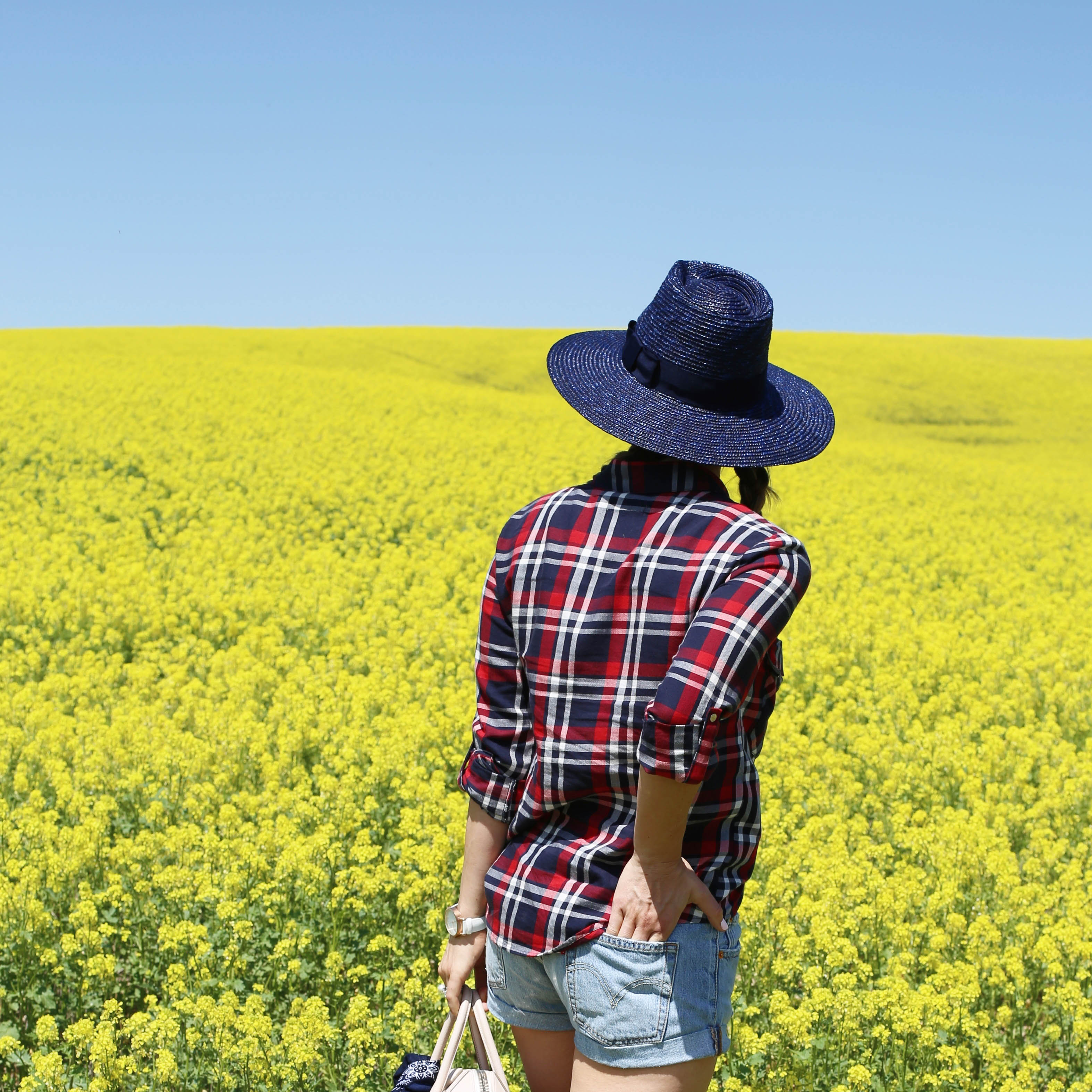 sv_yellow alfalfa_plaid_sbk_2-Edit