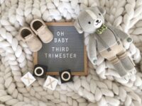 third trimester pregnancy