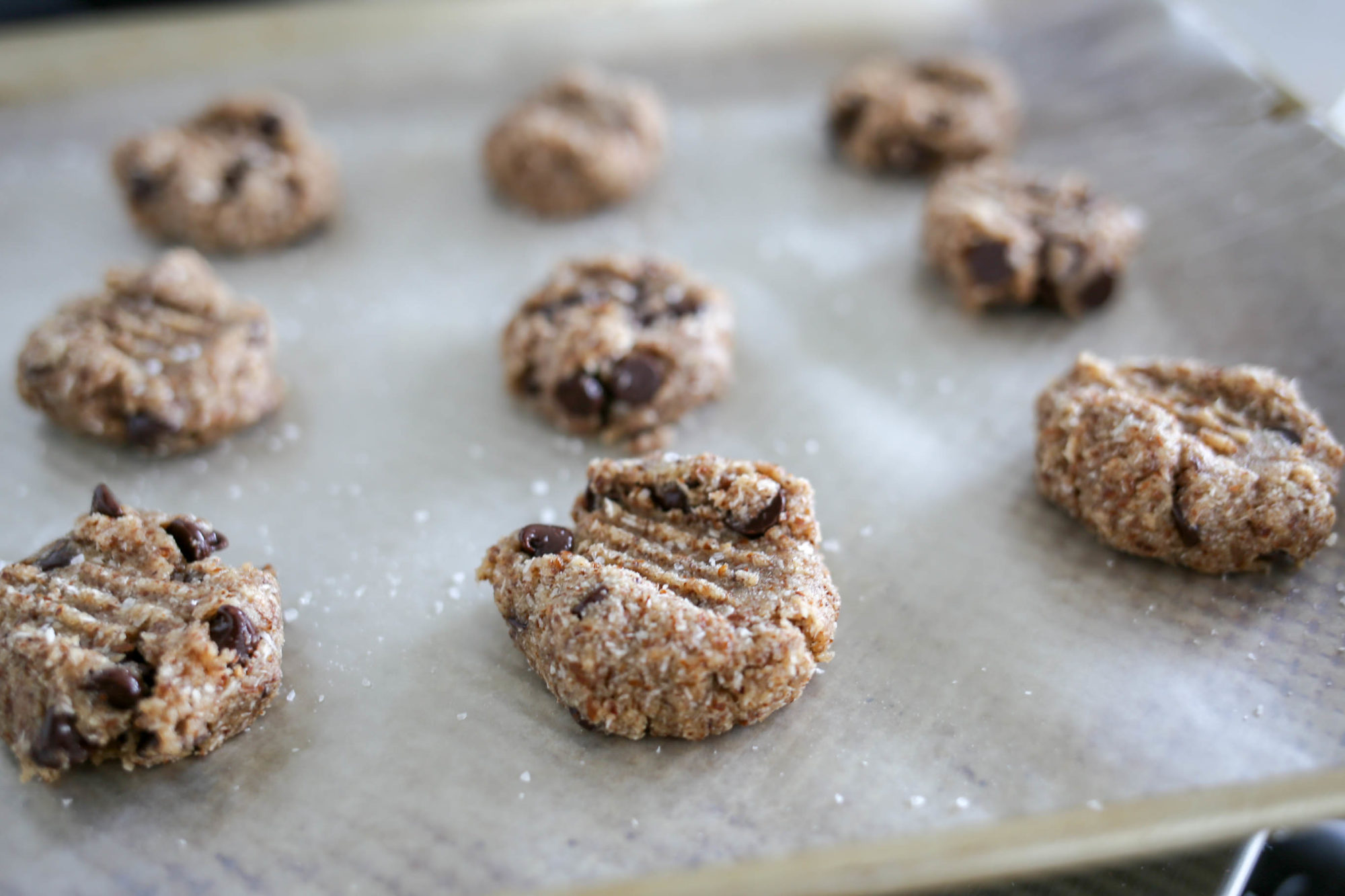 healthy chocolate chip coconut cookies