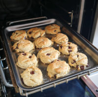 gluten free chocolate chip cookies