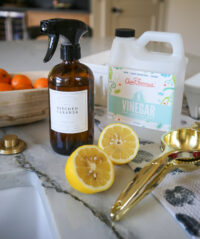DIY fruit and vegetable wash