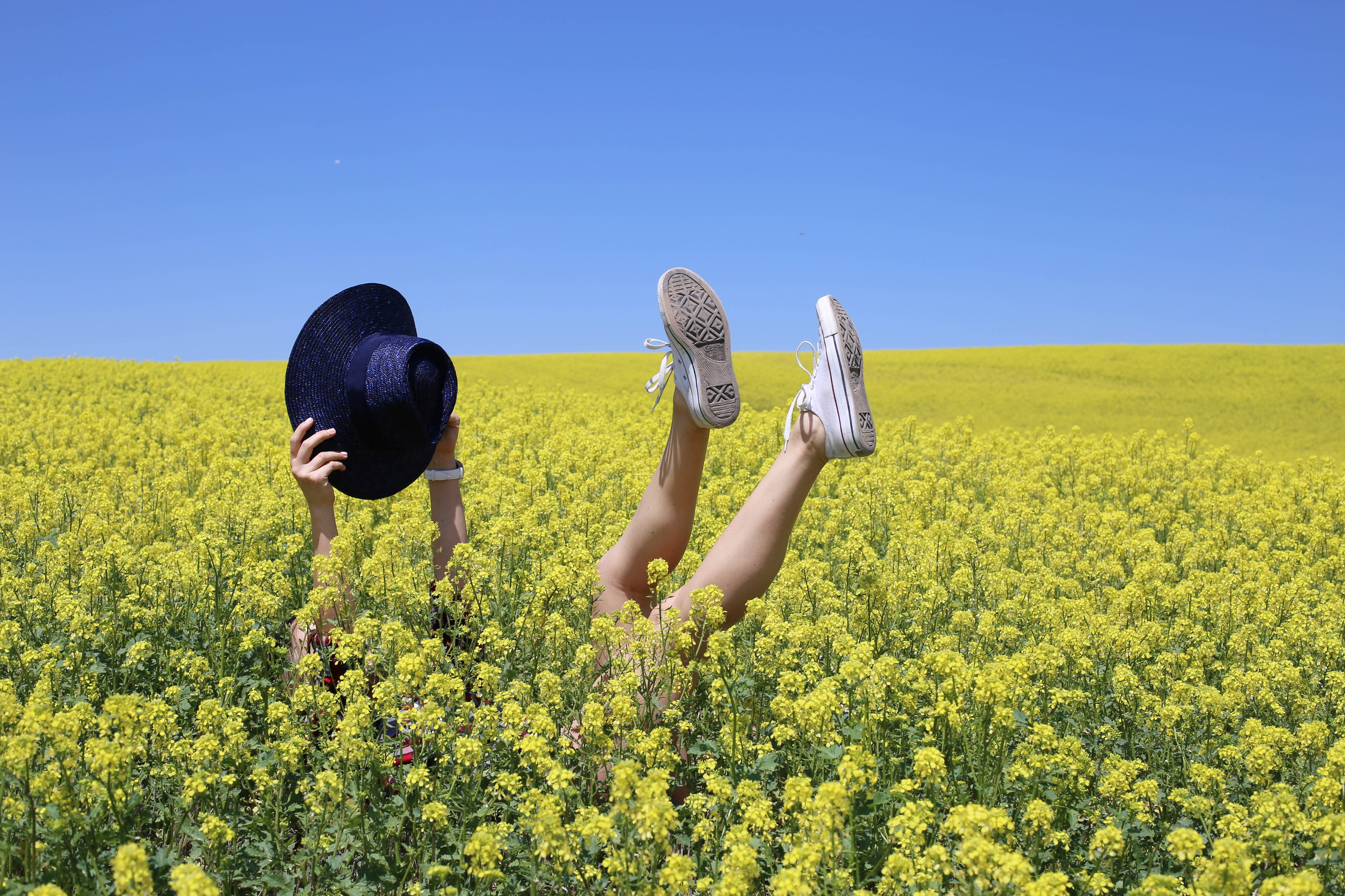 yellow alfalfa plaid denim shorts styled by kasey 