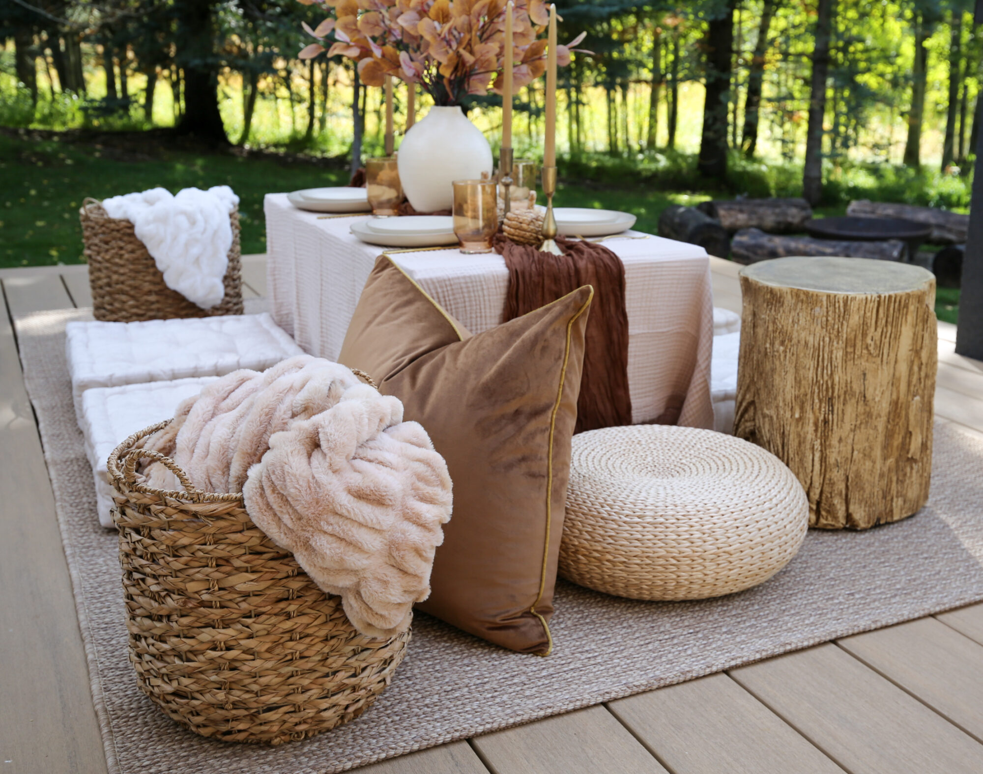 cozy fall picnic 