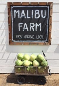 malibu travel guide