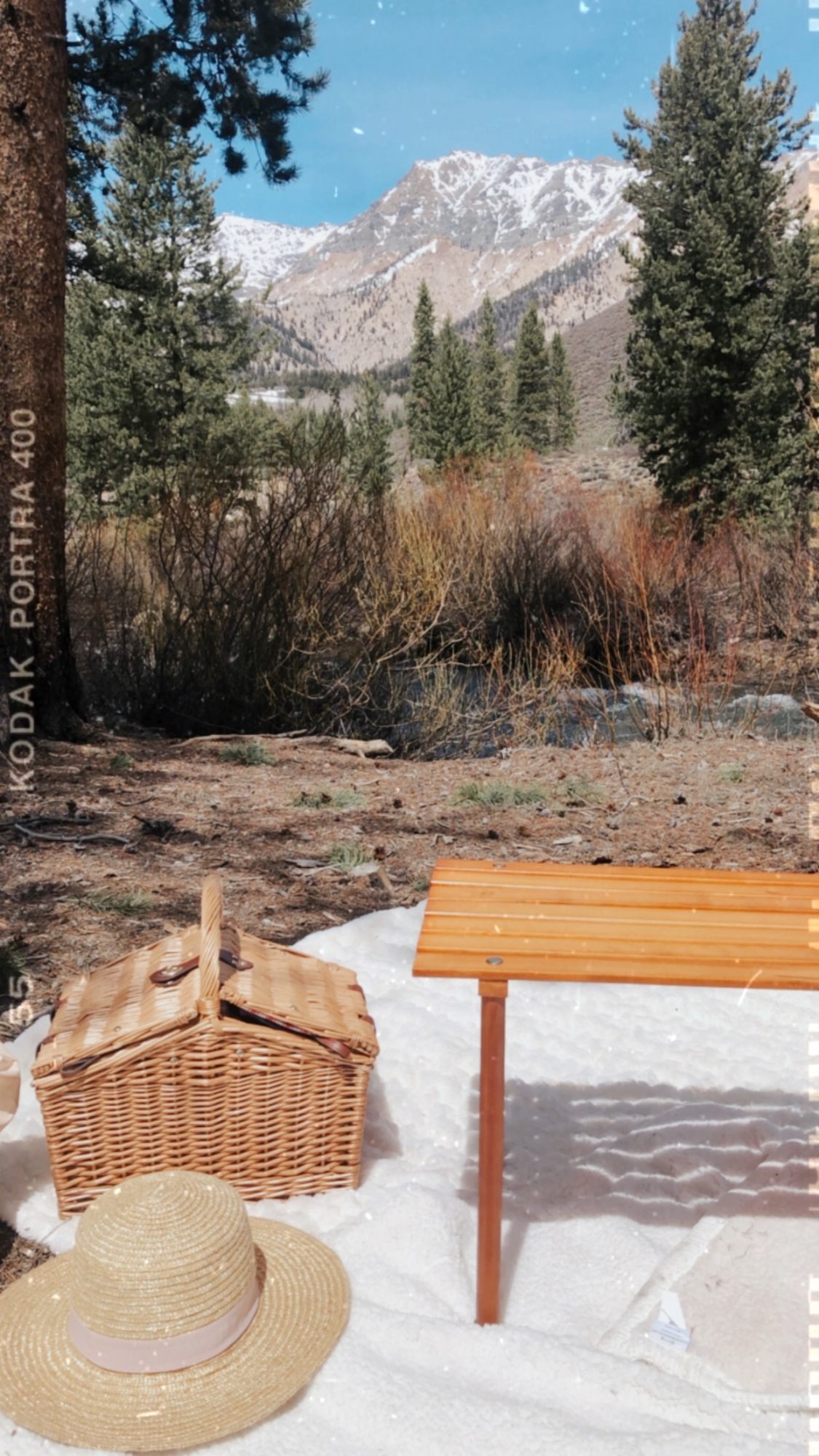 picnic