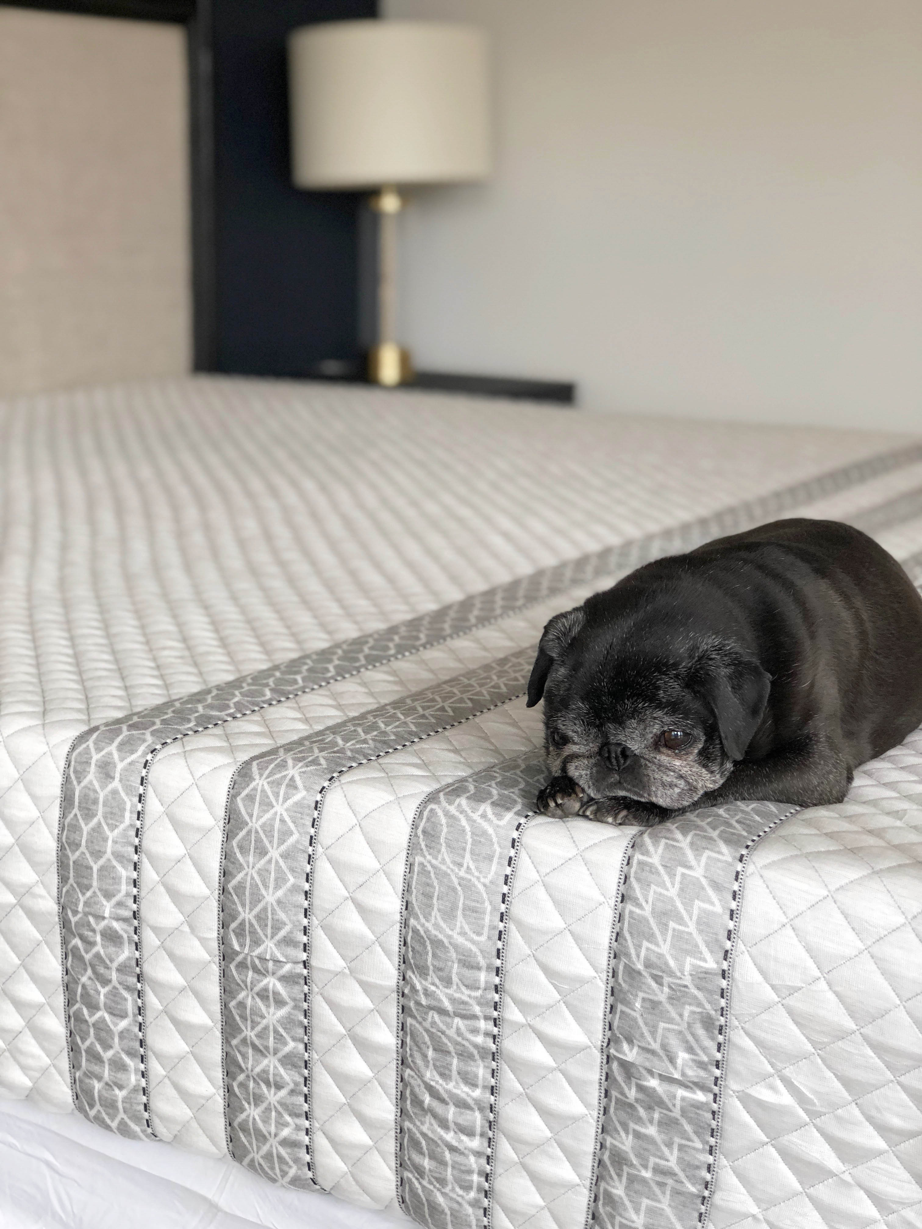 navy bedroom leesa mattress
