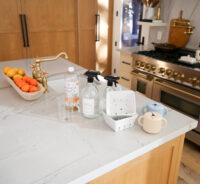 healthy non toxic home