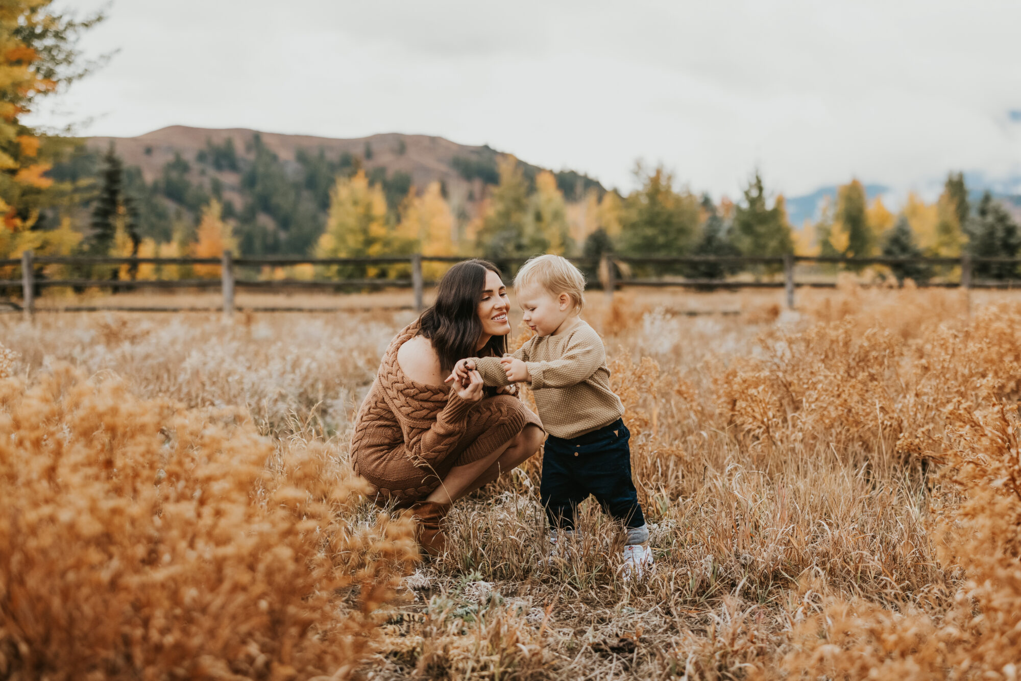 fall family photos
