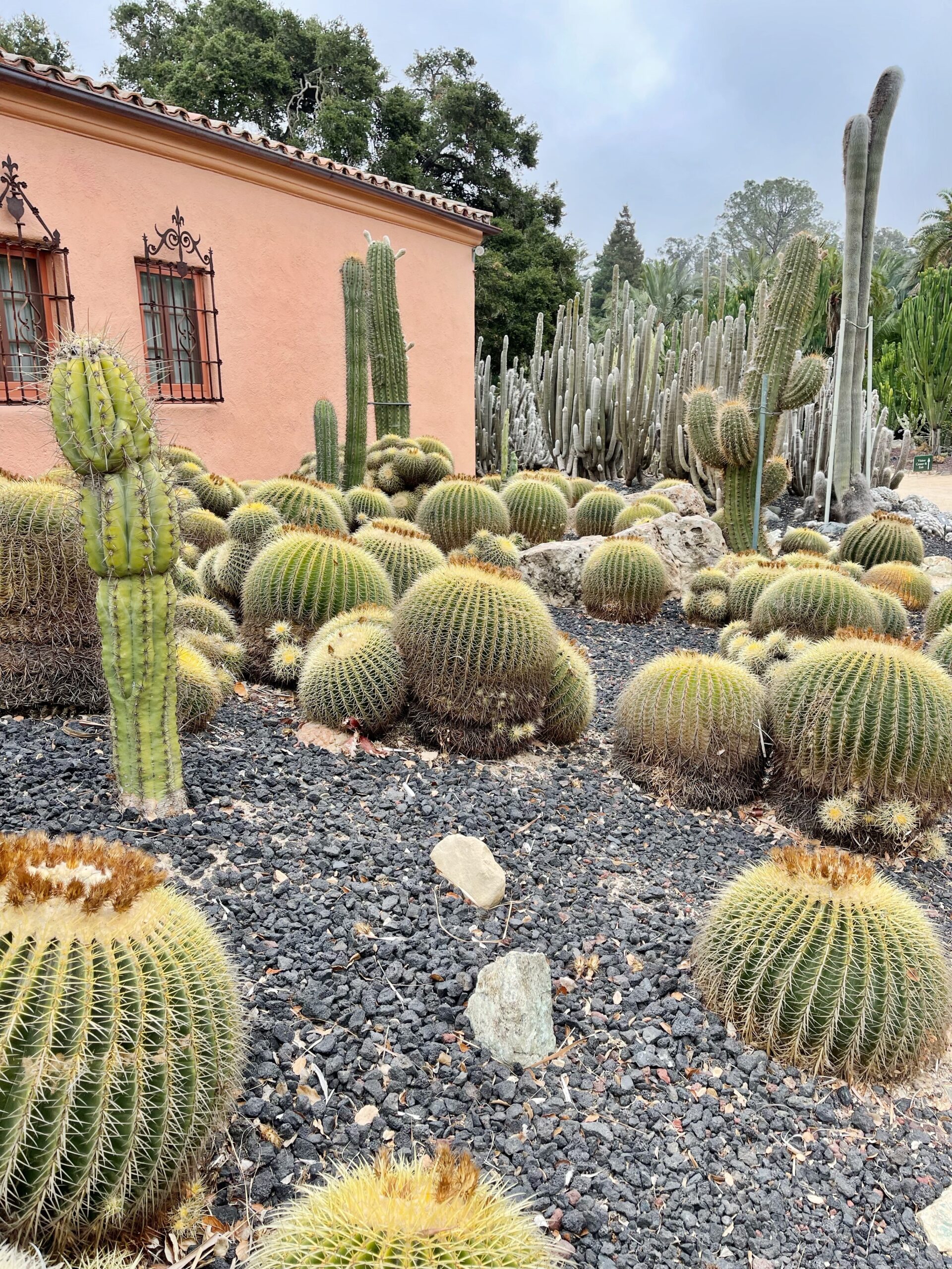 santa barbara