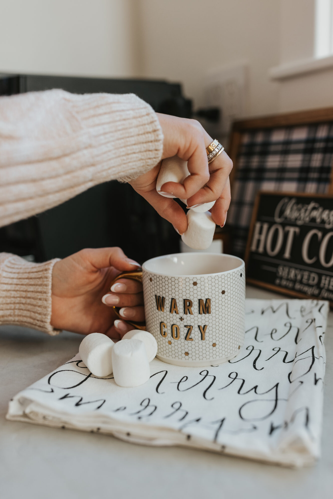 sweet water decor x LowToxHome holiday collection