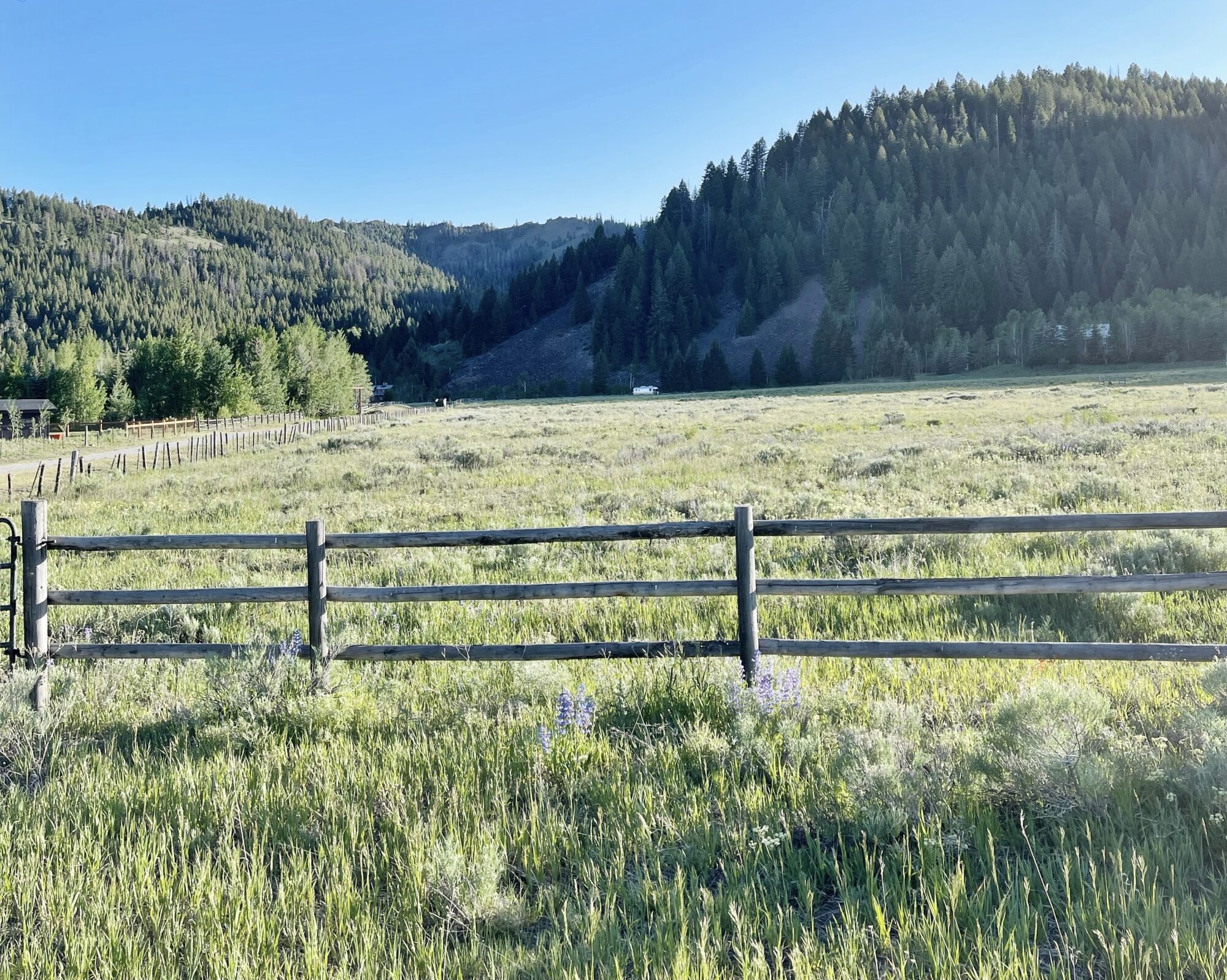 we bought land new house
