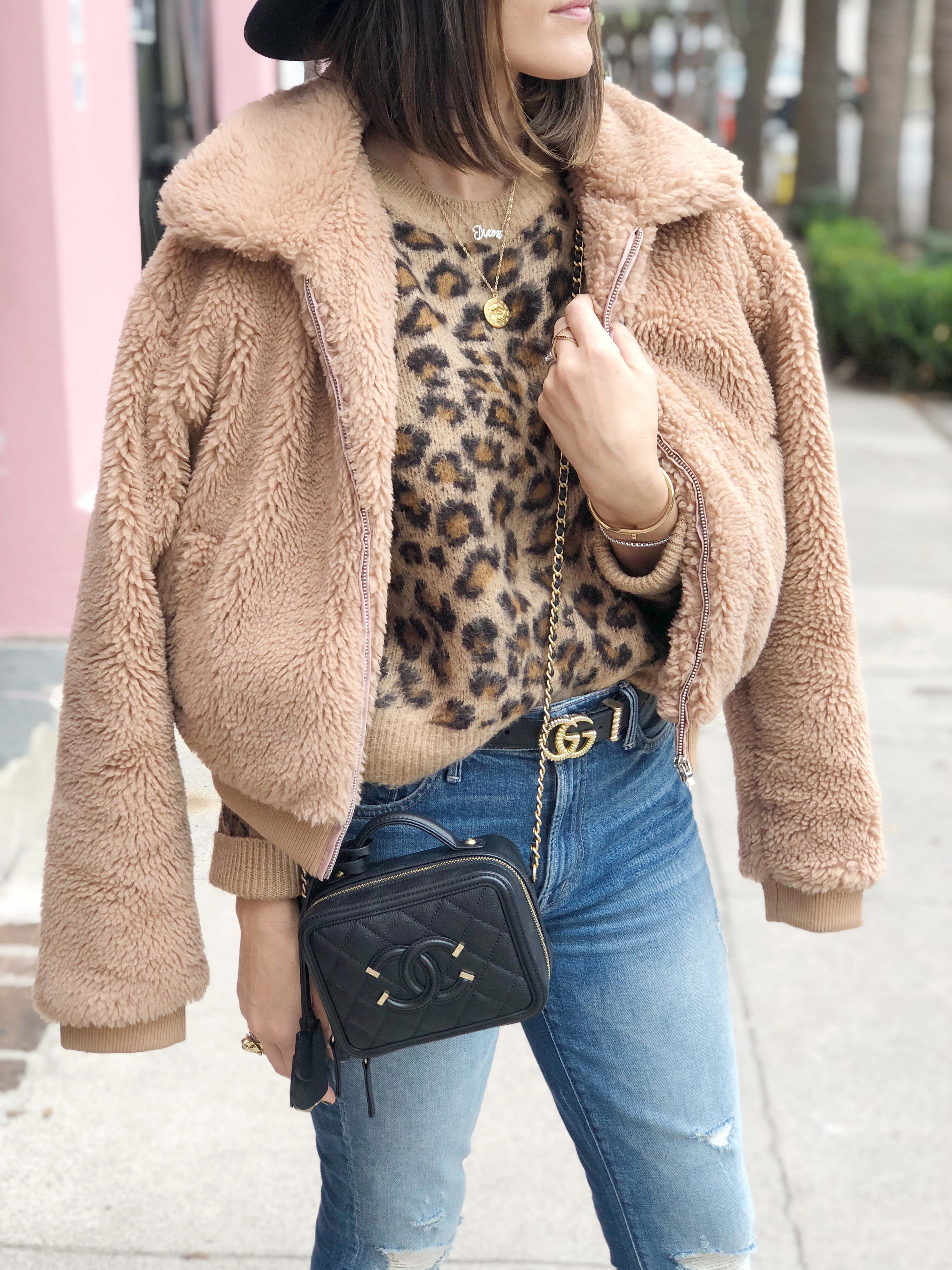 leopard and teddy
