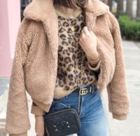 leopard and teddy