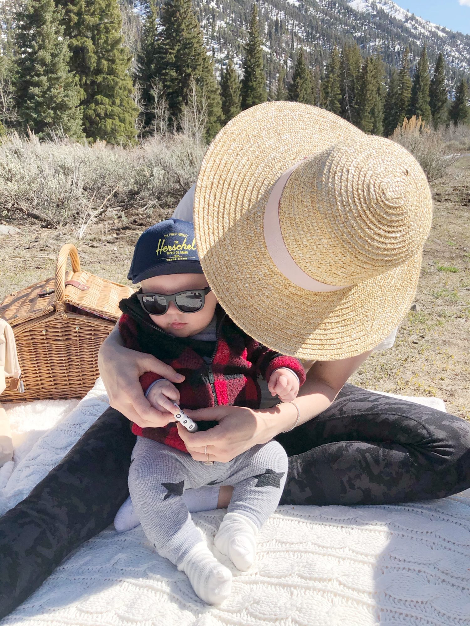 picnic