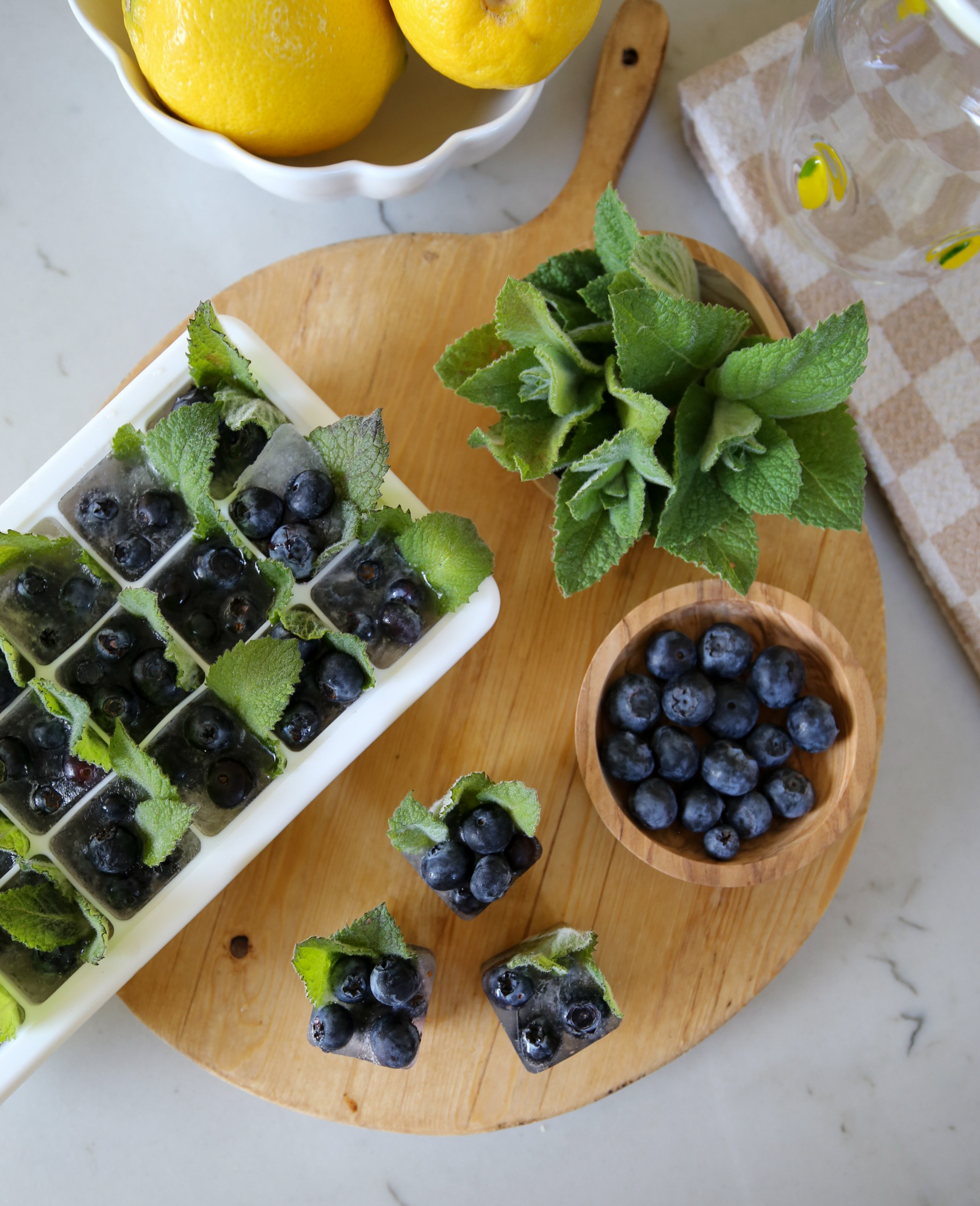 Blueberry Mint Summer Ice Cubes