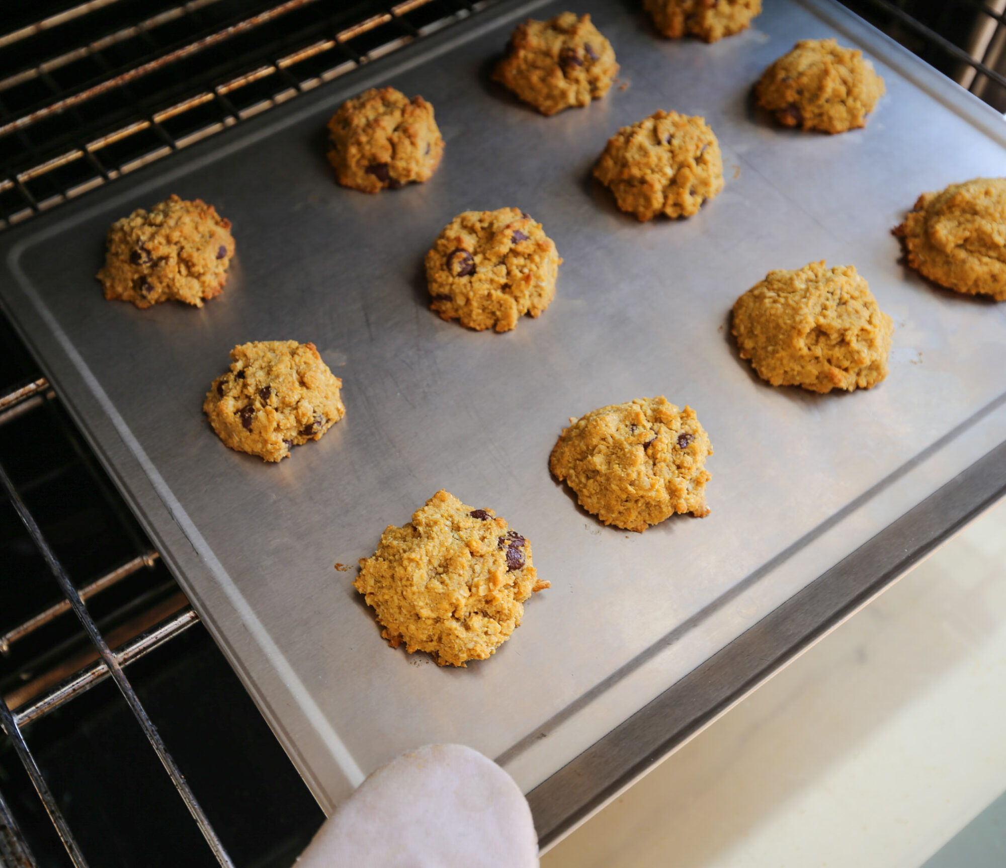 gf soft pumpkin cookies