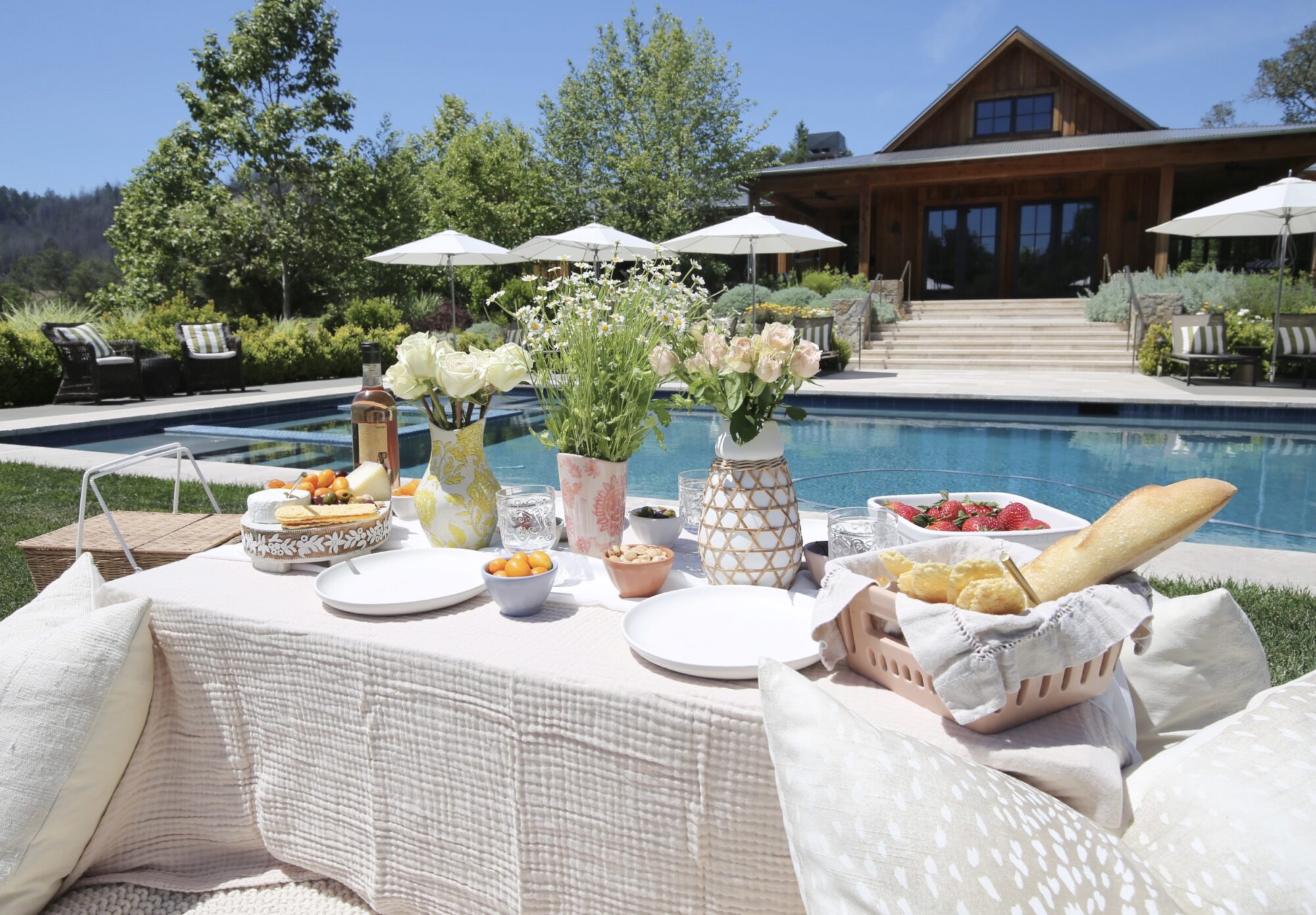 outdoor picnic setup