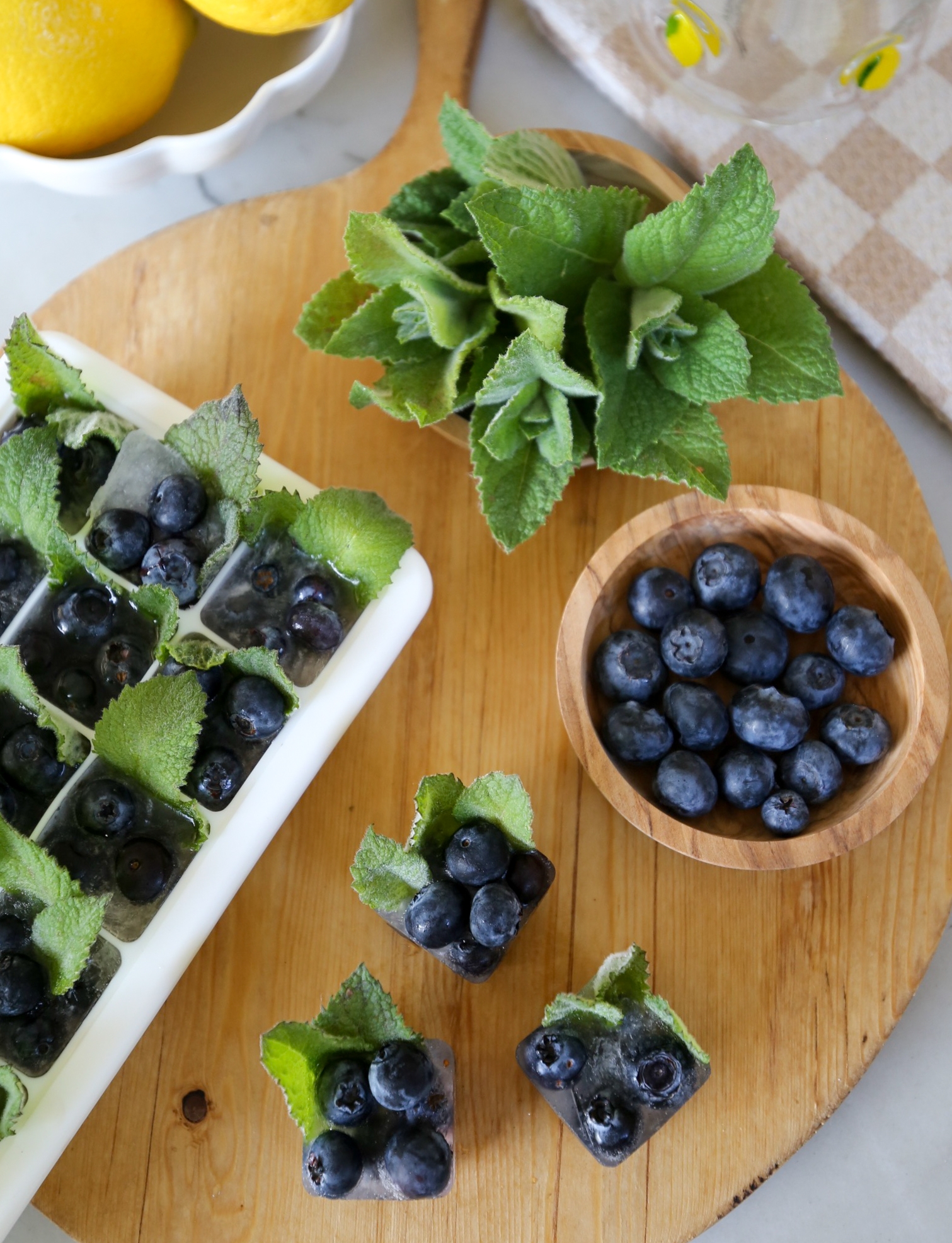 blueberry mint summer ice cubes