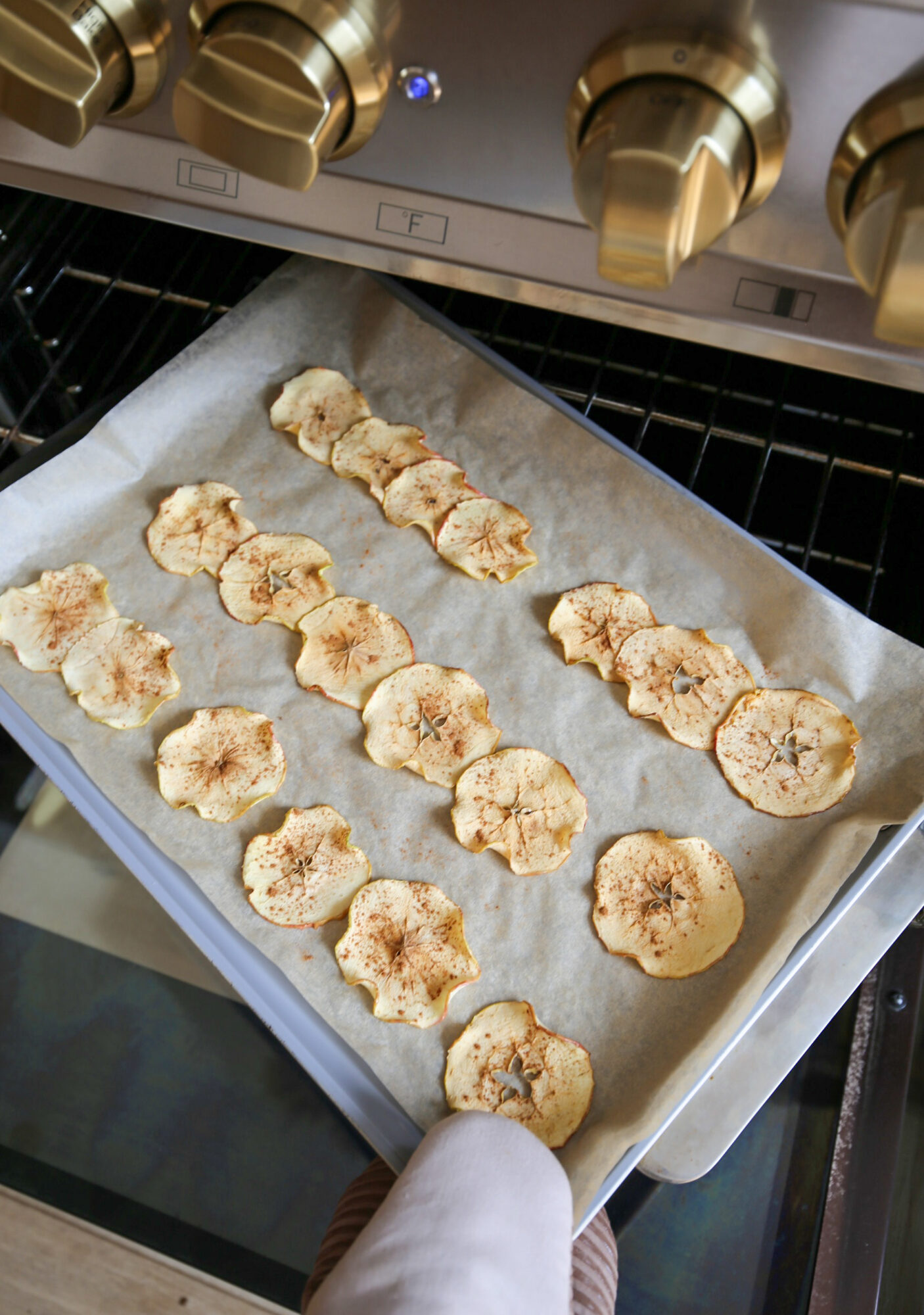baked apple chips