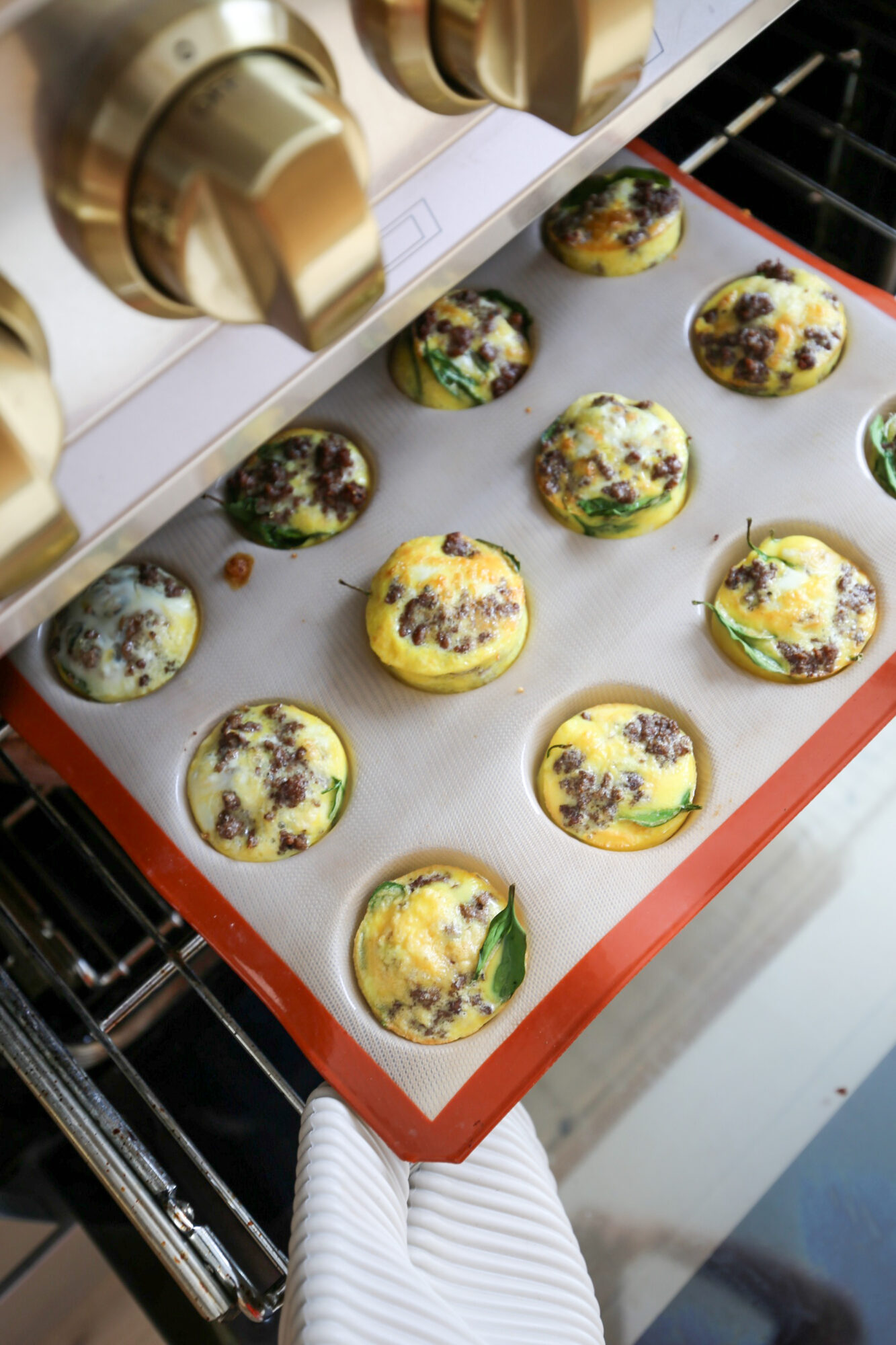 protein egg bites
