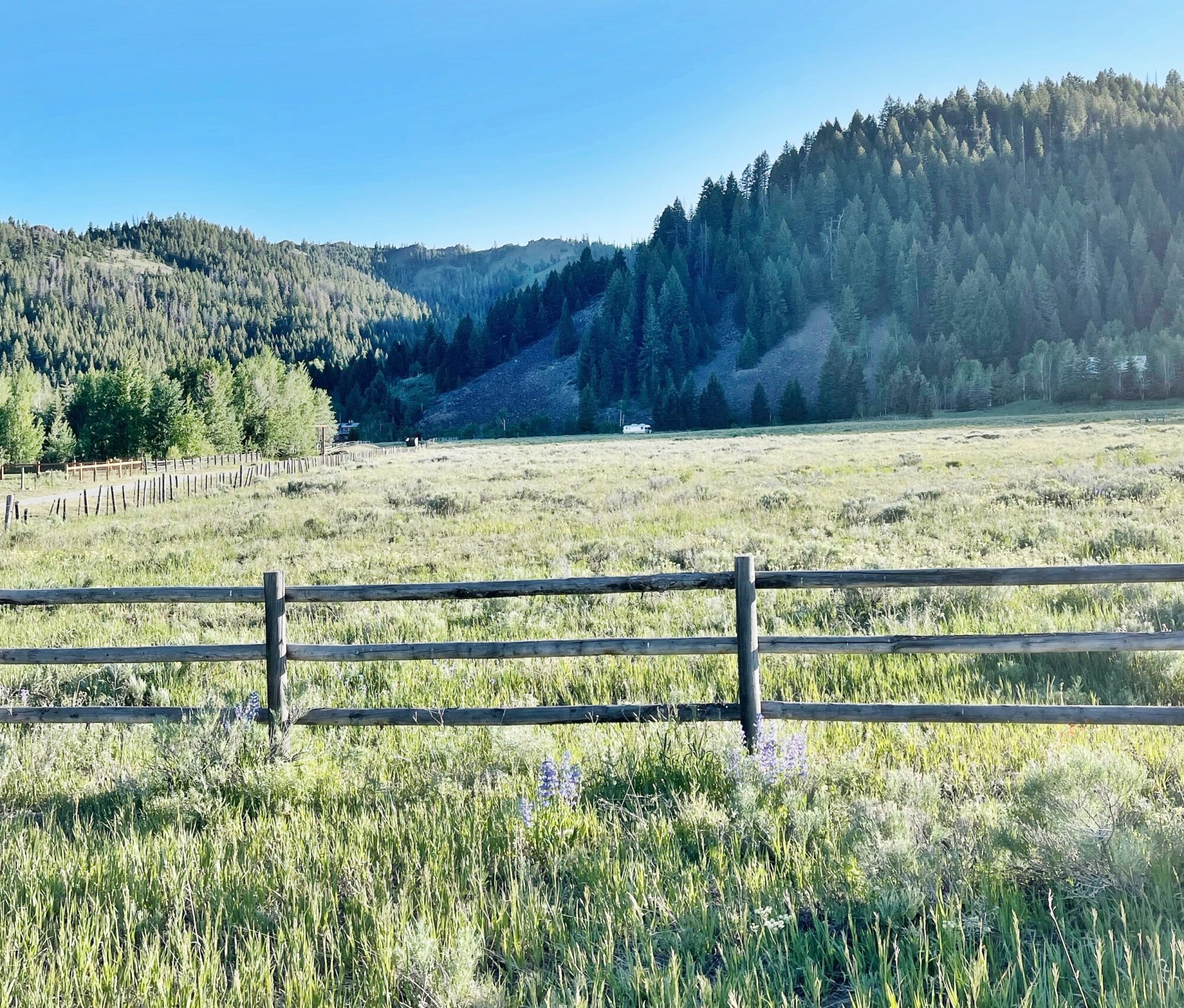 new land 