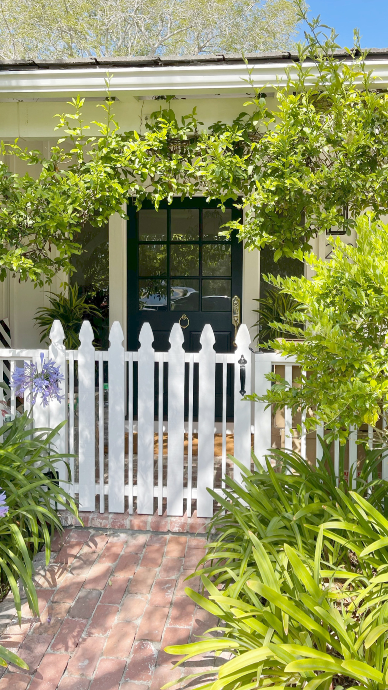 santa barbara