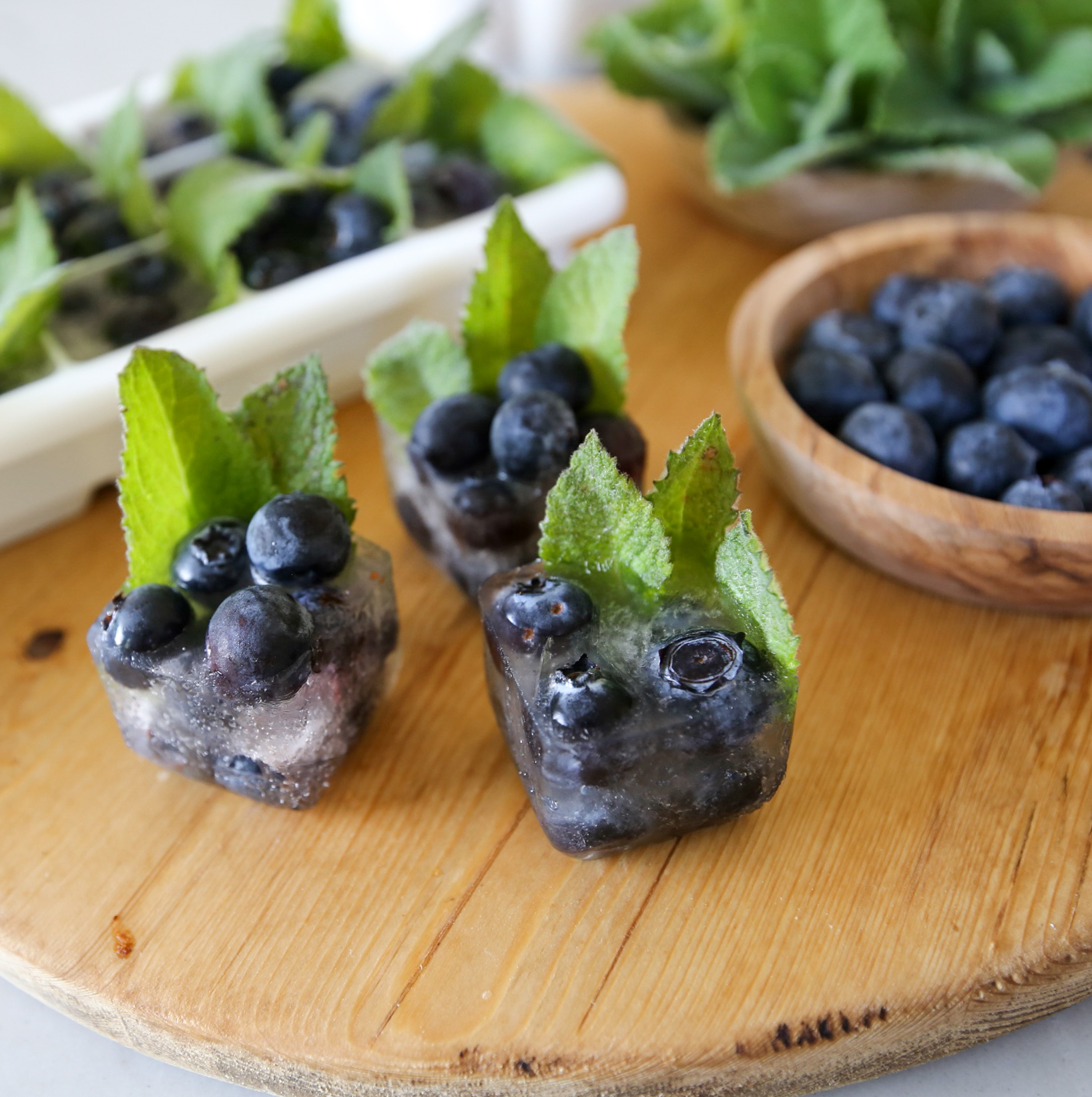 blueberry mint summer ice cubes