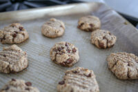healthy chocolate chip coconut cookies