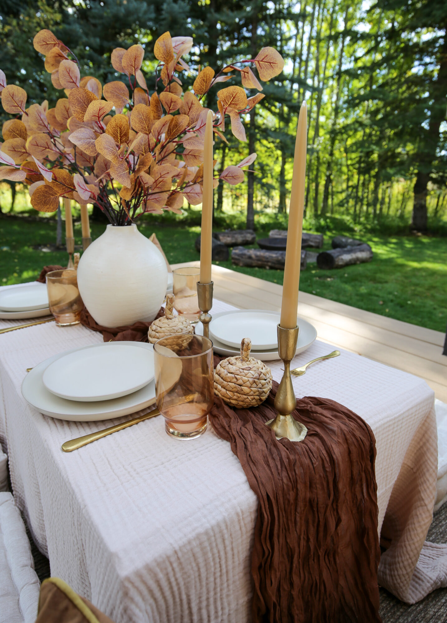 cozy fall picnic 